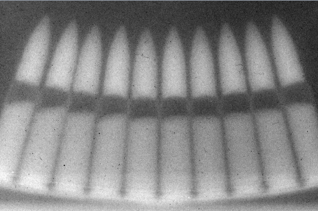 Pictoris Neutron Radiograph of Bullets